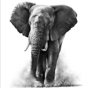 Meet your Posher, Kaycee